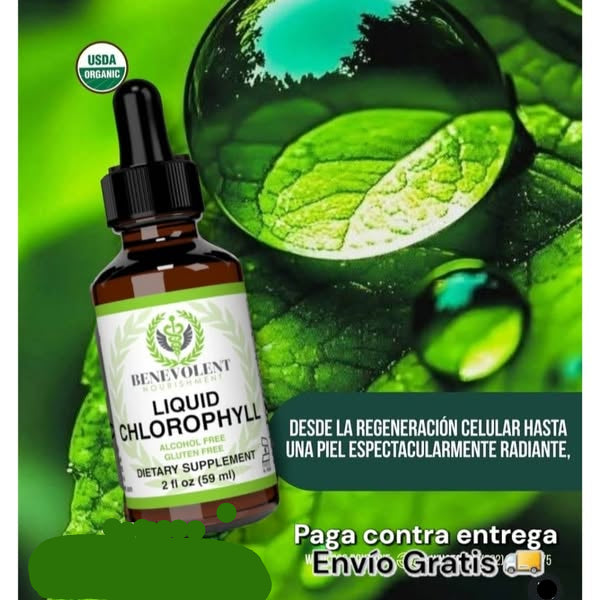 Clorofila Liquida Benevolent